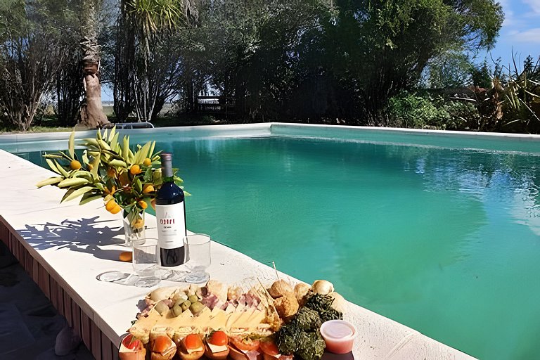 La Diferencia Casona 1894 Pileta y Viñedo