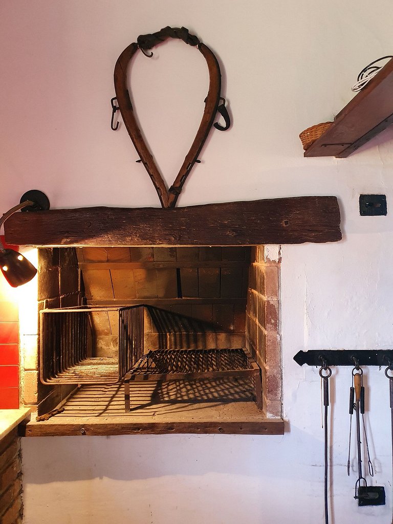 La Diferencia Casona 1894 Pileta y Viñedo